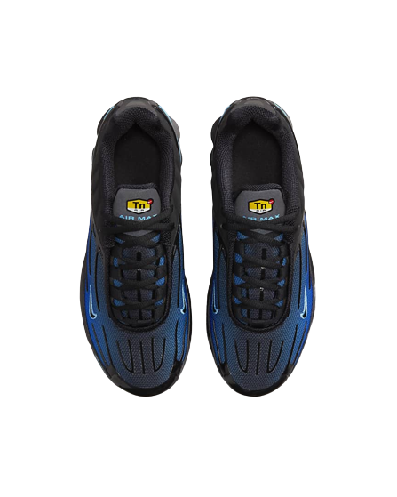 TN PLUS III