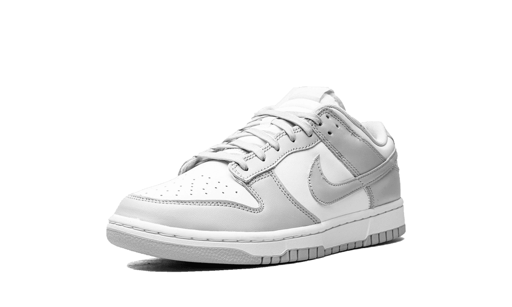 DUNK LOW GREY